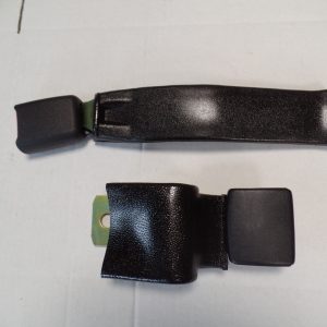 Seat belt rear